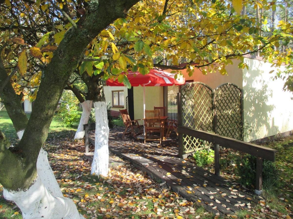 Ow Mikomania Charzykowy Exterior foto